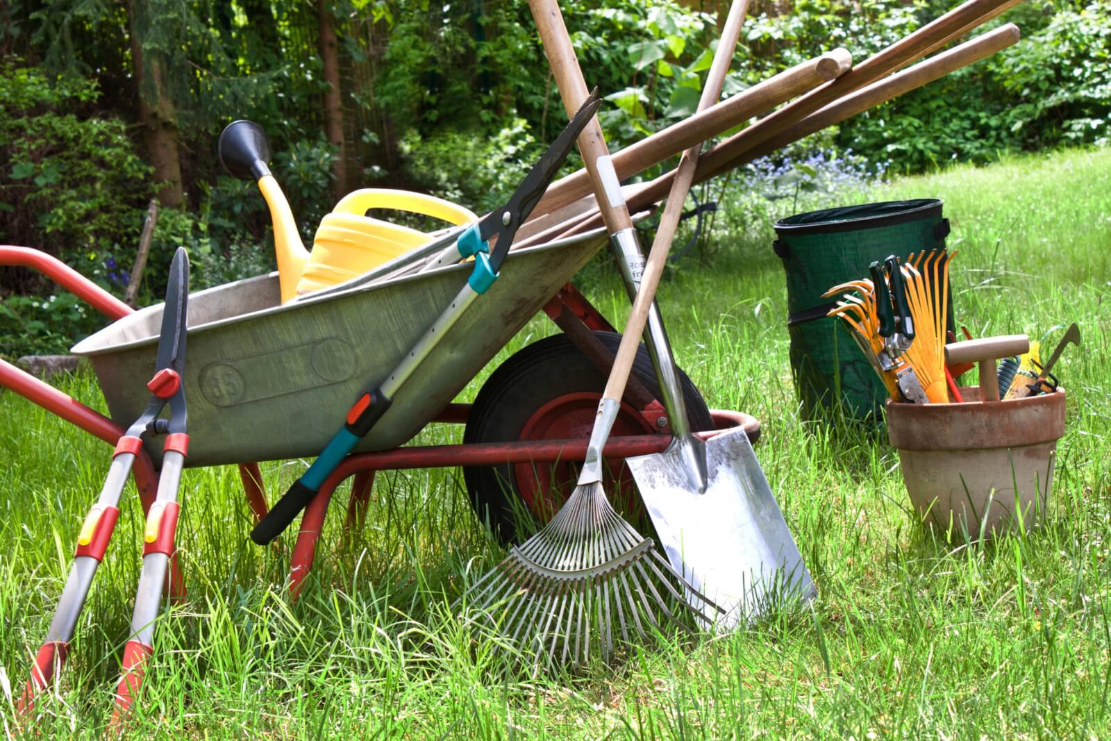 Assortment of garden tools leaning against wheel barrel in backyard
